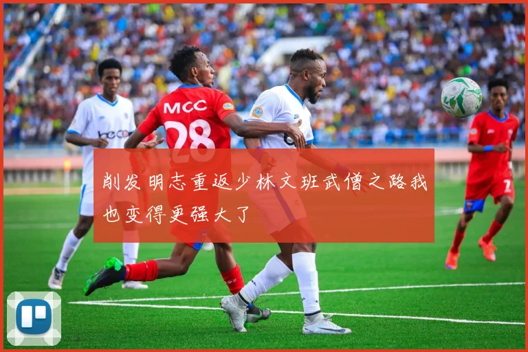 削发明志重返少林文班武僧之路我也变得更强大了
