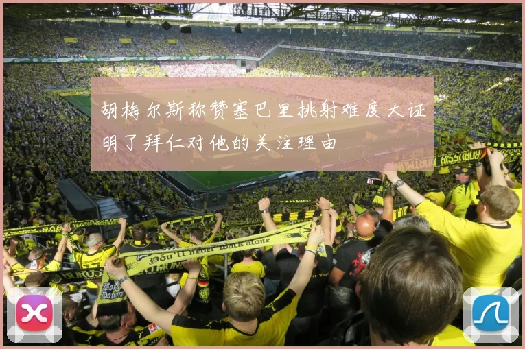 胡梅尔斯称赞塞巴里挑射难度大证明了拜仁对他的关注理由
